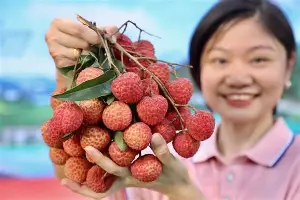 欧宝娱乐欧宝ob-太狠了！新疆广汇篮板制胜备战CBA常规赛赛前皇家社会备战意甲，波士顿凯尔特人围绕NBA总决赛造点机会的简单介绍